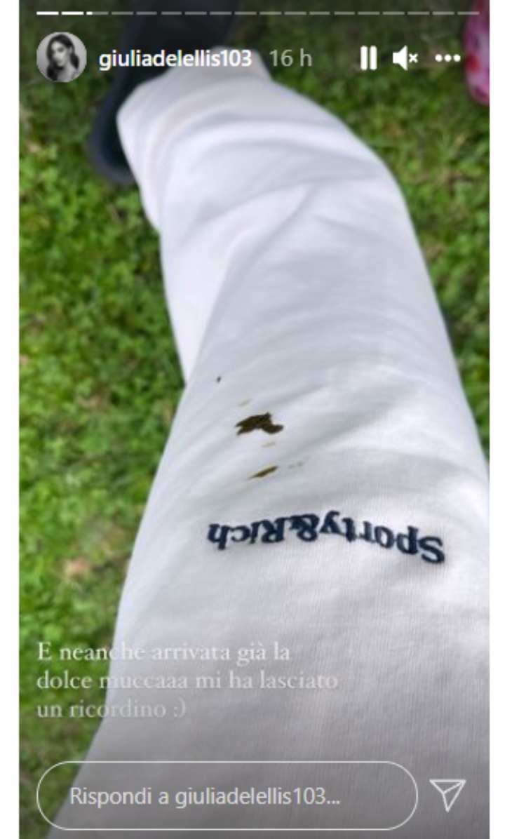De Lellis incidente in montagna