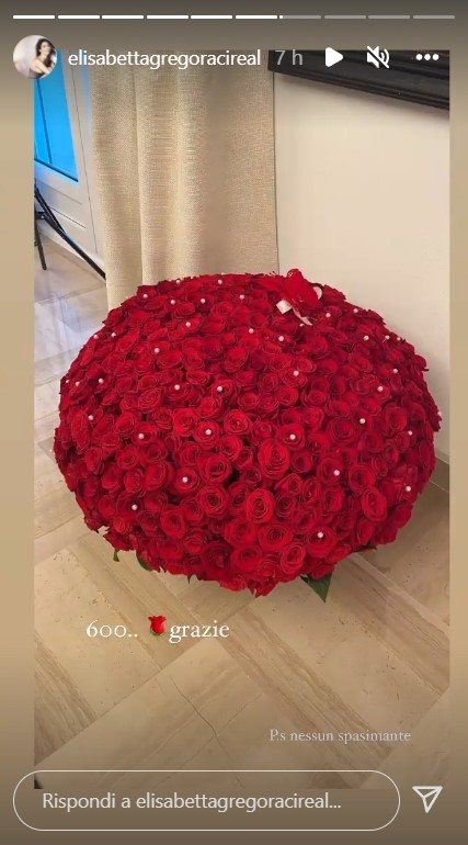 Stories di Elisabetta Gregoraci