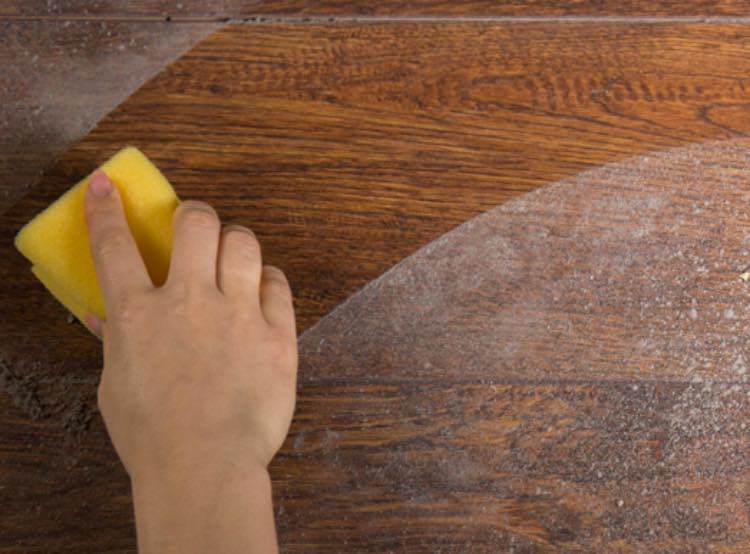 Polvere in casa? Tutto quello che fate è sbagliato: ecco il trucco per non averla più Polvere in casa? Tutto quello che fate è sbagliato: ecco il trucco per non averla più