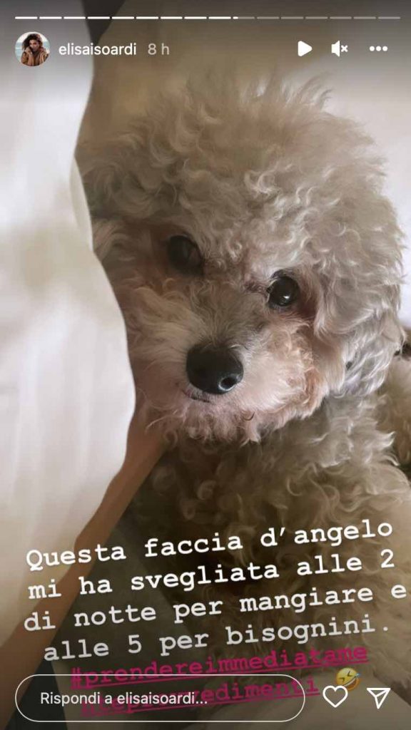 Stories di Elisa Isoardi