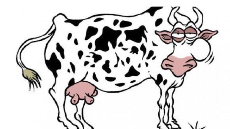 Rompicapo trova la mucca in 15 secondi
