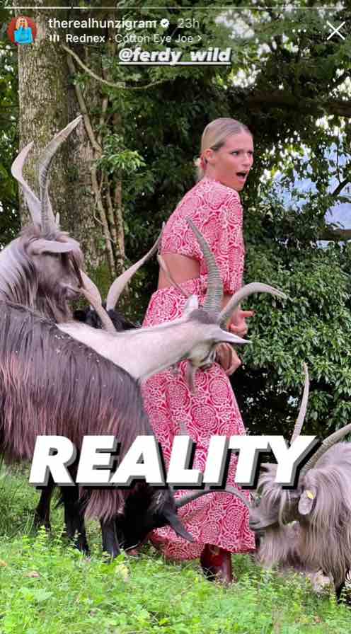 Michelle Hunziker
