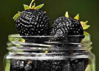 fragole nere proprietà