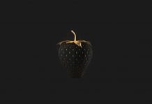 fragole nere sono reali
