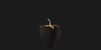 fragole nere sono reali