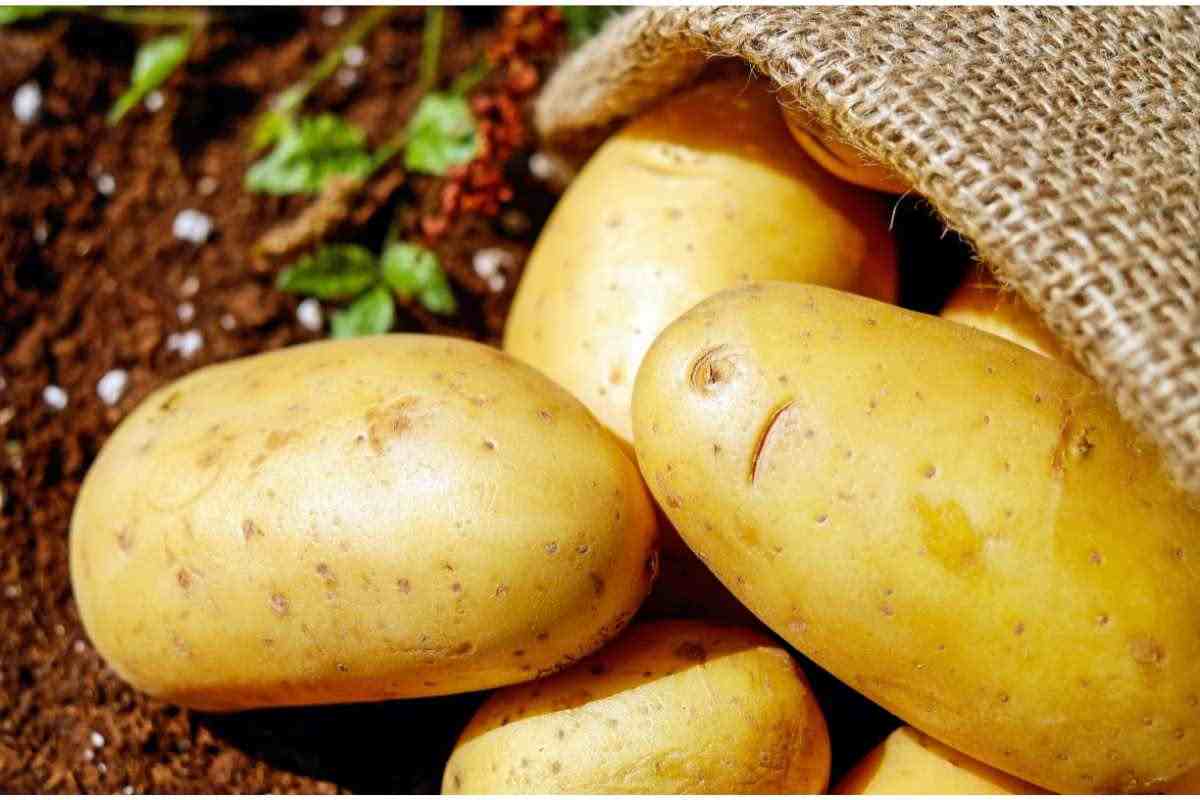 Patate alla savoiarda, come prepararle