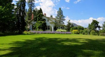 BONUS GIARDINO: ufficiale 1800 euro per tutti, soldi in tasca dal 5 maggio I Presenta la domanda e trasformi il tuo ‘verde’ a spese dello STATO