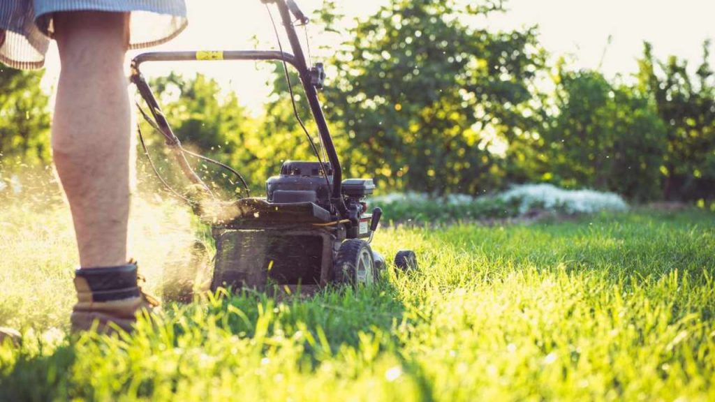 “Faccio il giardiniere e le zanzare NON MI PUNGONO MAI”: il suo segreto è semplicissimo, basta seguire il suo esempio per evitare punture
