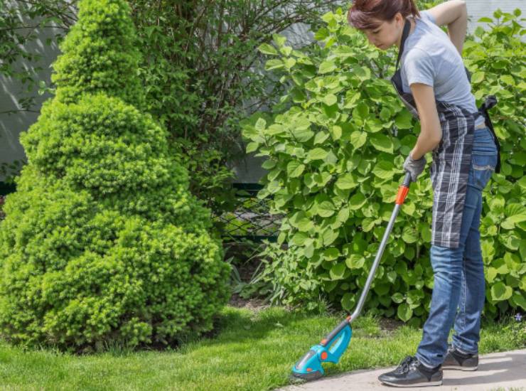 Il rimedio del giardiniere