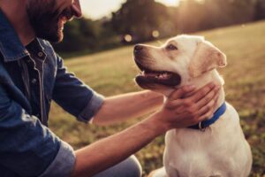 Uomo e cane